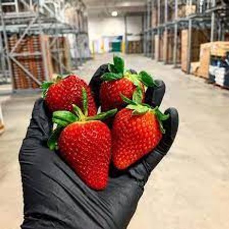 RJO Produce Marketing