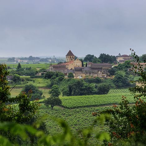 Château de Bonhoste vineyard 1.jpg