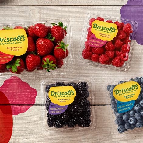 Driscolls de Chile SA - Products
