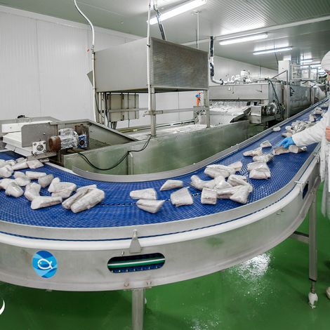 Lopez Freire SA - Production Area
