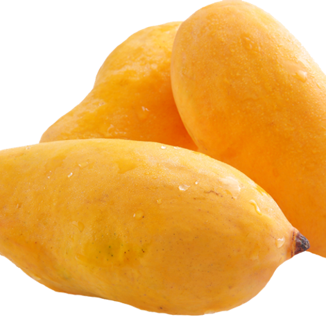 Union Fruit Export (Pvt) Ltd.
