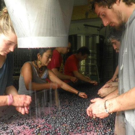 Château Clos Junet - People