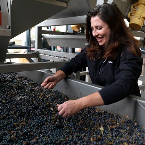 CADE Estate Winery_Wine_Process1