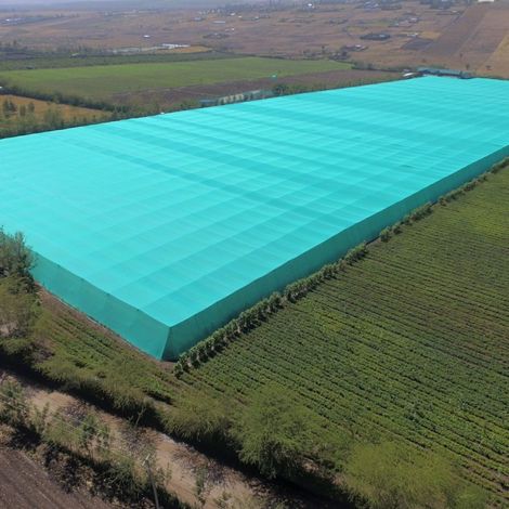 Ngong Veg Kenya Ltd