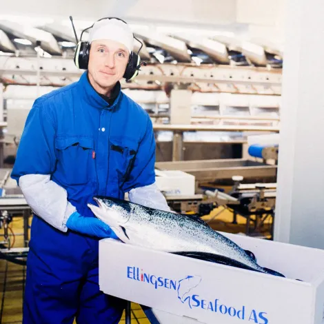 ELLINGSEN SEAFOOD AS - Production