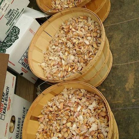 Fraser's Garlic Farm, LLC