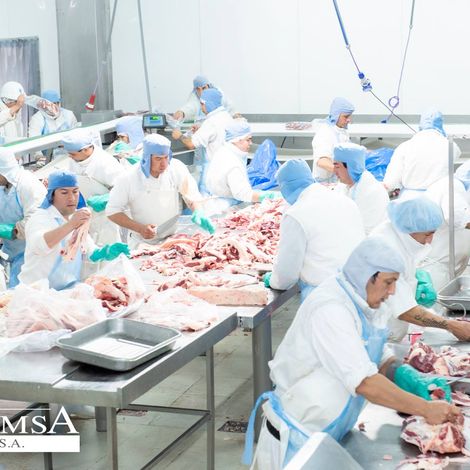 FRIMSA S.A. - Facility