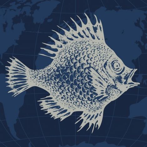 Blue Wave Fish Traders