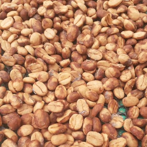 Mountain Coffee LTD