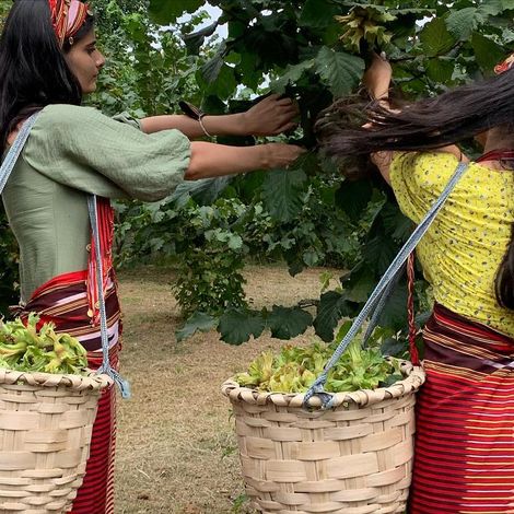 Arslanturk Tarim Urunleri San. Ihr. ve Ith. A.S. - Harvest Season