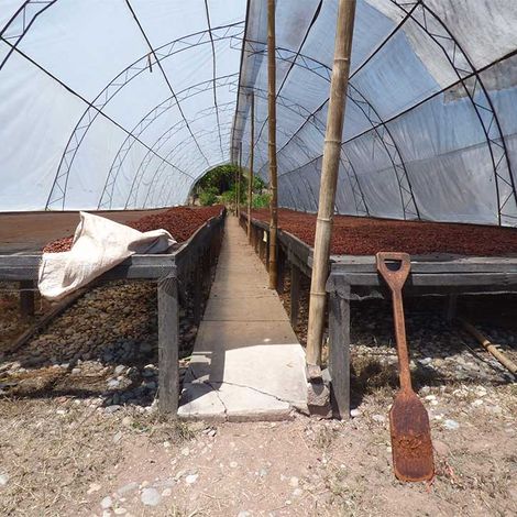 Asociación De Productores Cacaoteros Y Cafetaleros De Amazonas - Facility
