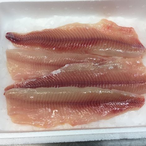 Skinless Pike