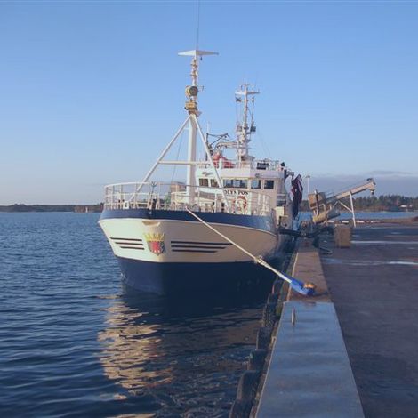 pilt1.jpg