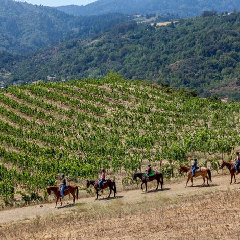 Cooper-Garrod Estate Vineyards