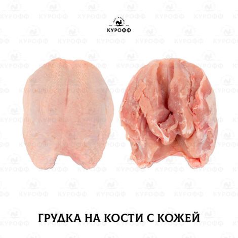 LLC Kuroff
