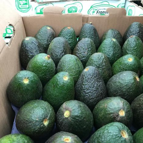 Fresh Mexican Avocado