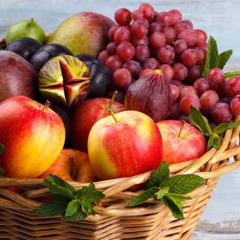 Fruitmatics UG