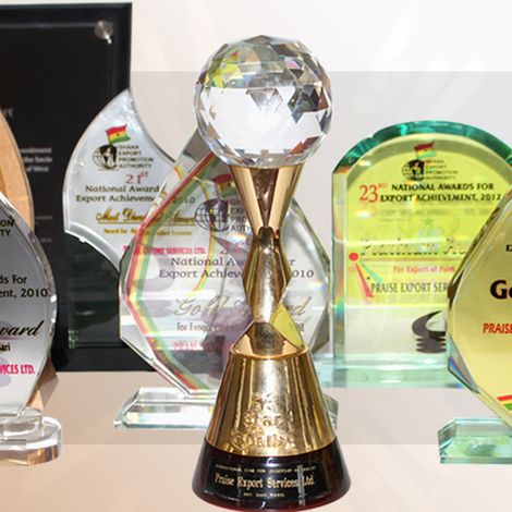 PRAISE EXPORT SERVICES LIMITED