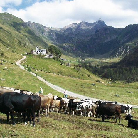 CIRESA_biandino.jpg
