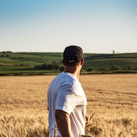 Midwest Lentils Exports Inc