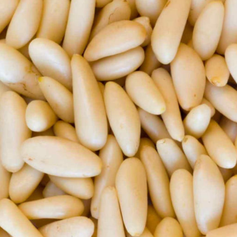 AMA Pistachios mbH