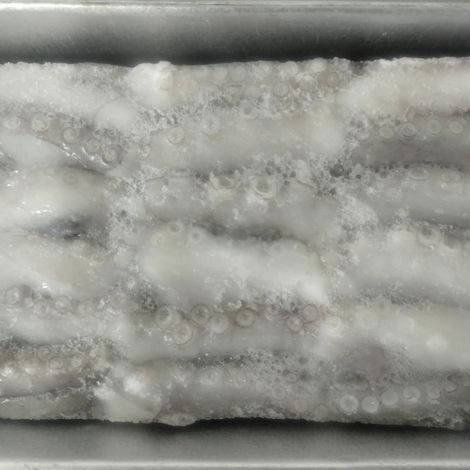 Frozen Cut Poulp Squid
