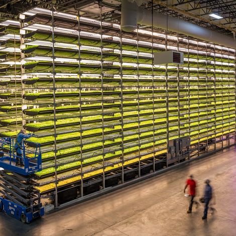 Warehouse