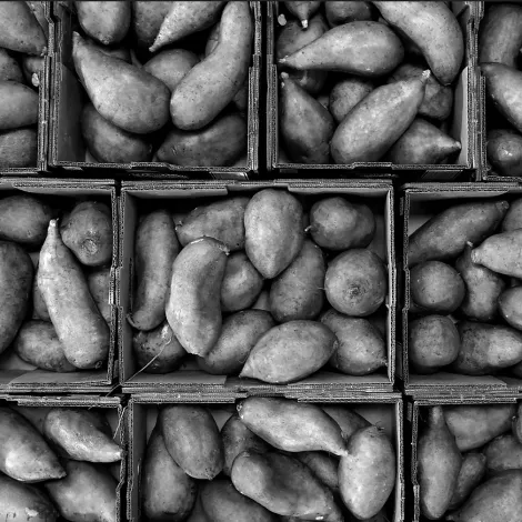 Farm Fresh Produce