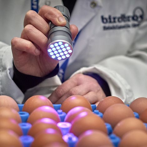 Bird Bros Ltd - Facility