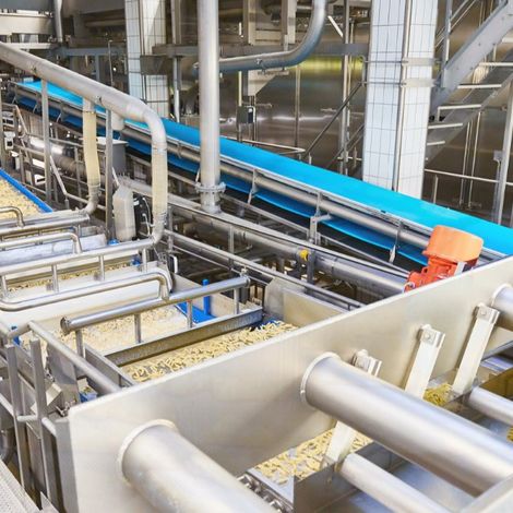 Wernsing Feinkost GmbH - Processing Facility