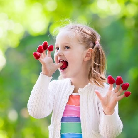 Sevenberries, Lda