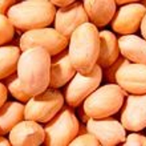 Juliana Peanuts Ltda. - Products