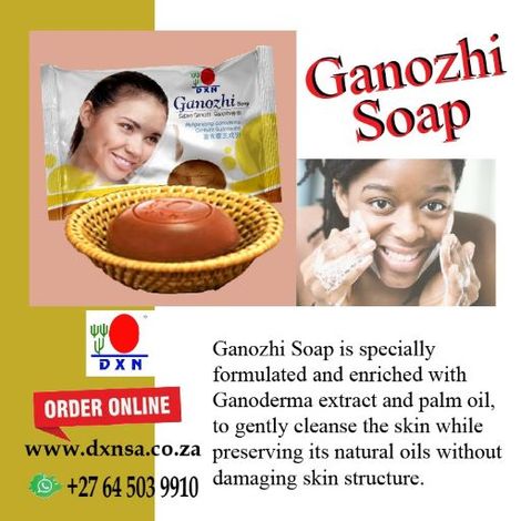 GANOZHI SOAP