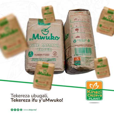 Kinazi Cassava Plant