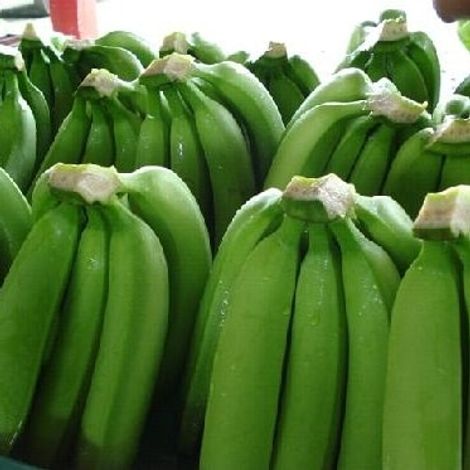 PROFRESH EXPORT LTD