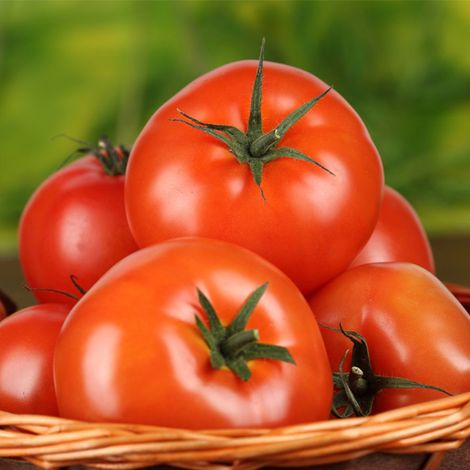 Tomato_Product.jpg