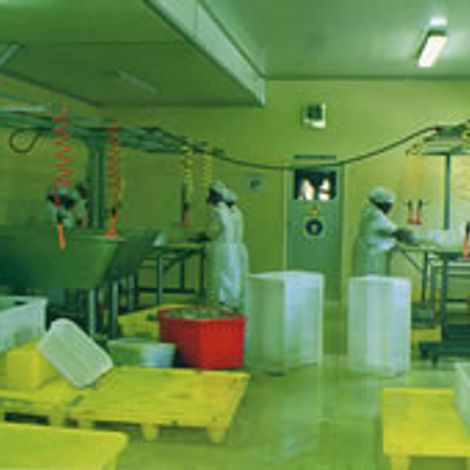 Y & L Fishing Enterprises (Pty) Ltd- Cold Storage