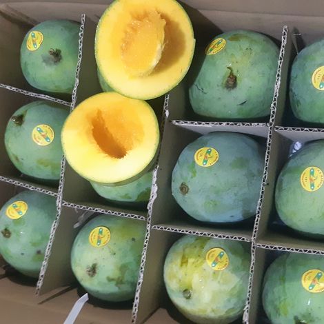 Harum Manis Mango