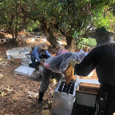 Production