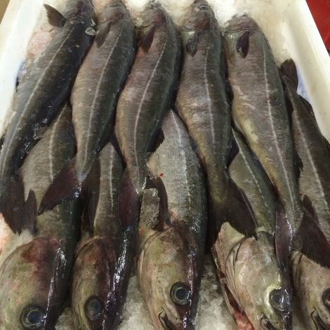 Couper Seafoods Ltd