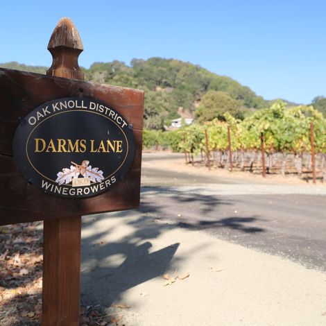 vineyard 2 Darms.jpg