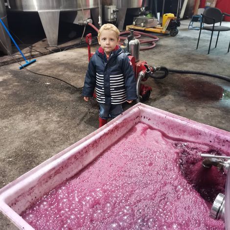 Château Bois De Cadet_Wine_Process