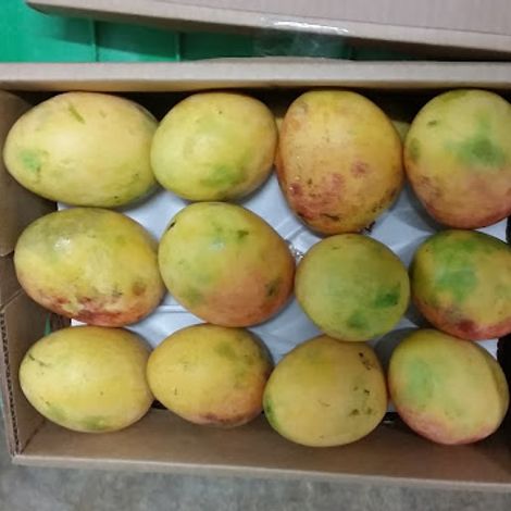 Mango