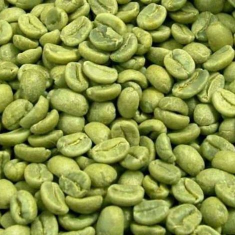 Export ready coffee beans