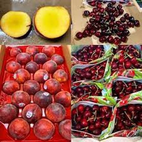 RJO Produce Marketing