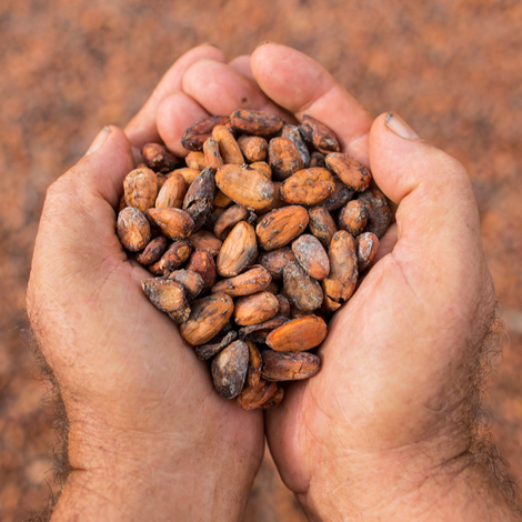 Cream to Cream 1, C.A.