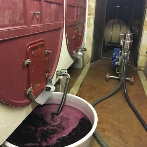 Château La Grâce Dieu_Wine_Process2