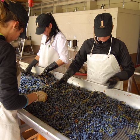 Antigal Winery & Estates