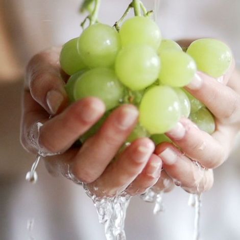 fruit-master-australia-grapes-poster-image-1024x578.jpg
