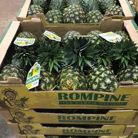 ROMPINE MD2 Pineapple
